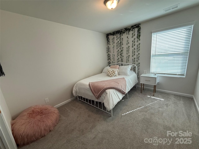 1016 Laggan Ln, Indian Trail, NC 28079 - carpeted bedroom with baseboards