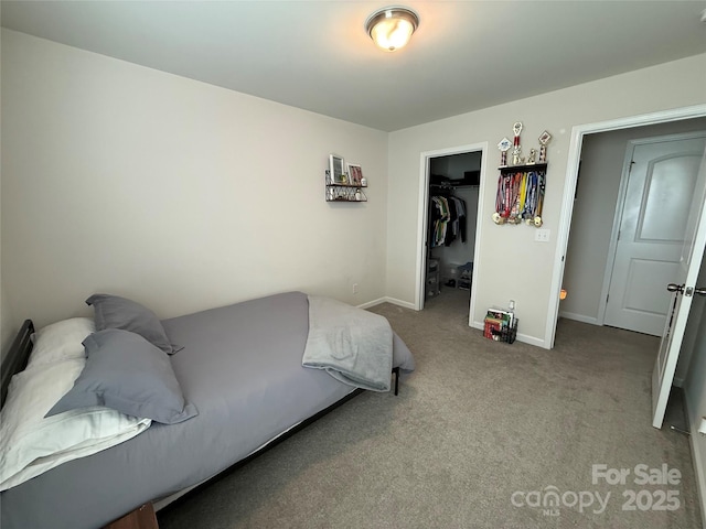1016 Laggan Ln, Indian Trail, NC 28079 - bedroom with carpet, baseboards, a spacious closet, and a closet