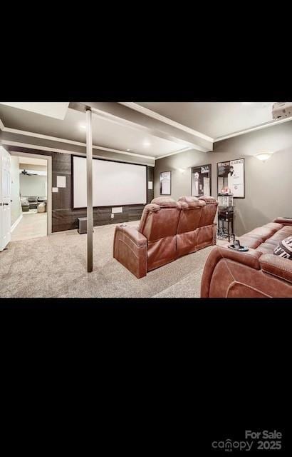 2234 Donnington Ln NW, Concord, NC 28027 - home theater room with carpet floors