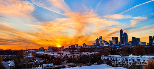 919 Cityscape Dr, Charlotte, NC 28205 - view of city skyline