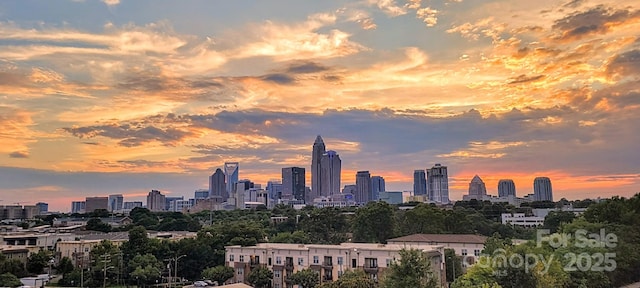 919 Cityscape Dr, Charlotte, NC 28205 - skyline view