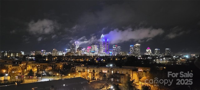 919 Cityscape Dr, Charlotte, NC 28205 - city view with a view of city lights
