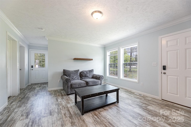 503 Apple St, Gibsonville, NC 27249 - living room with wood finished floors, healthy amount of natural light, ornamental molding, a textured ceiling, and baseboards