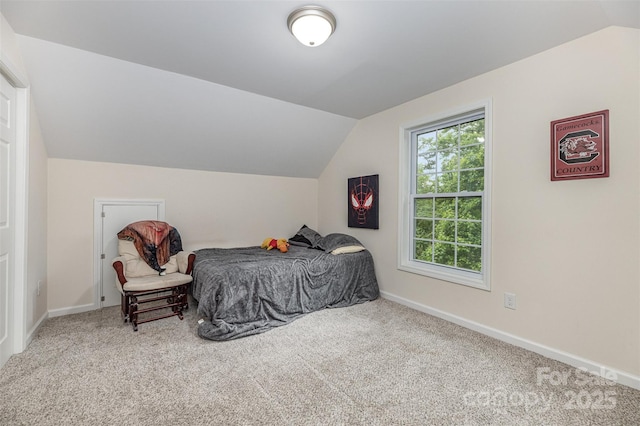503 Apple St, Gibsonville, NC 27249 - bedroom with lofted ceiling, carpet, and baseboards