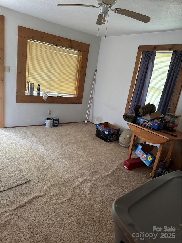 241 Hamrick Dr, Ellenboro, NC 28040 - unfurnished room with carpet flooring and a ceiling fan