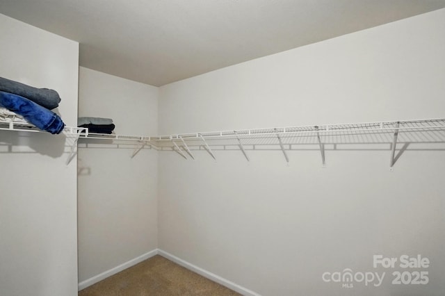 1005 Exodus Ct, Monroe, NC 28110 - spacious closet featuring carpet flooring