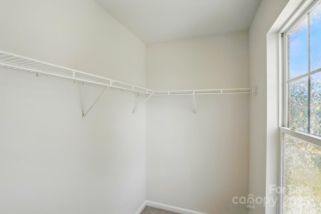 1005 Exodus Ct, Monroe, NC 28110 - spacious closet with carpet flooring