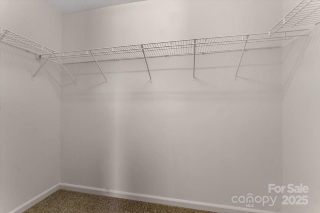 1111 Balcorn Pl, Charlotte, NC 28214 - spacious closet featuring carpet