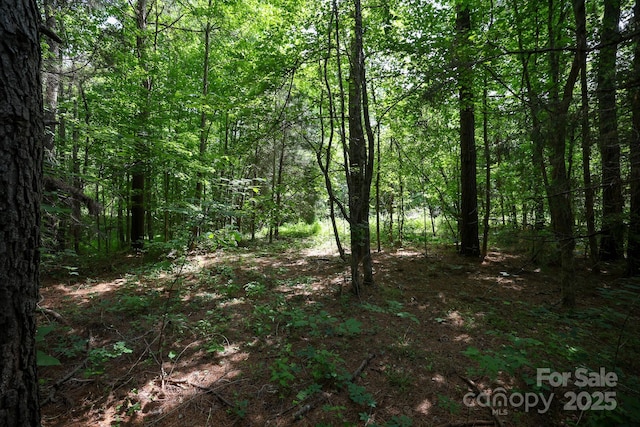 LOT0 Lower Palmer Rd, Salisbury, NC 28146