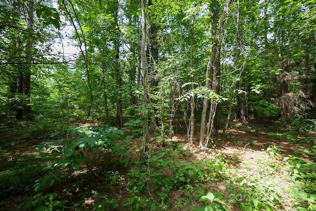 LOT0 Lower Palmer Rd, Salisbury, NC 28146