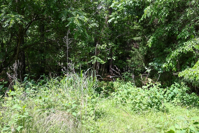LOT0 Lower Palmer Rd, Salisbury, NC 28146