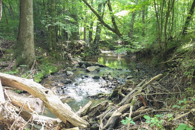 LOT0 Lower Palmer Rd, Salisbury, NC 28146