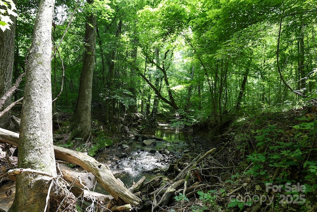 LOT0 Lower Palmer Rd, Salisbury, NC 28146