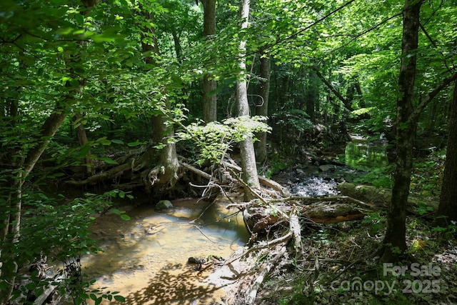 LOT0 Lower Palmer Rd, Salisbury, NC 28146