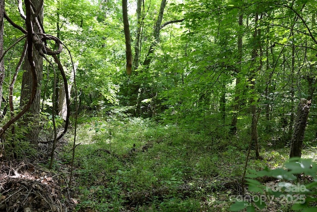LOT0 Lower Palmer Rd, Salisbury, NC 28146