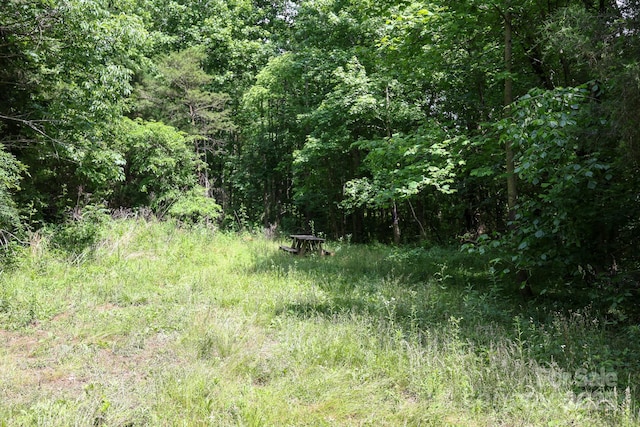 LOT0 Lower Palmer Rd, Salisbury, NC 28146