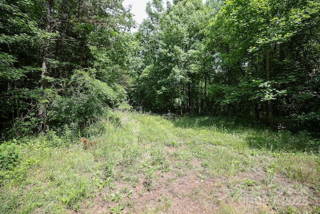 LOT0 Lower Palmer Rd, Salisbury, NC 28146