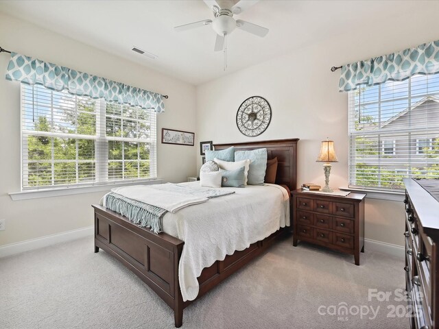 9405 Gladden Hill Ln, Pineville, NC 28134 - bedroom with baseboards, light colored carpet, and multiple windows