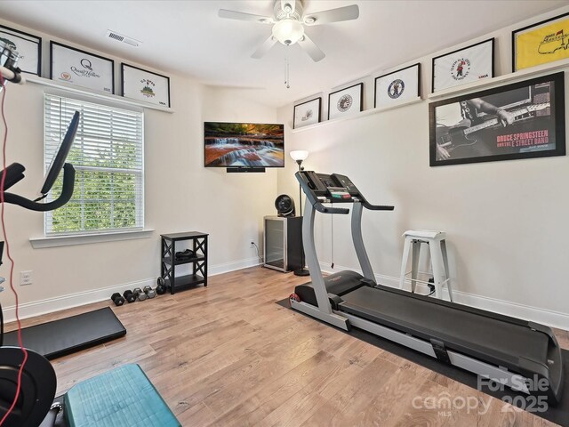 9405 Gladden Hill Ln, Pineville, NC 28134 - exercise area with wood finished floors, a ceiling fan, and baseboards