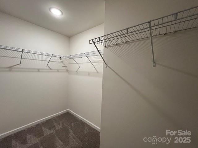 103 Higgins Ct, Morganton, NC 28655 - walk in closet featuring dark colored carpet