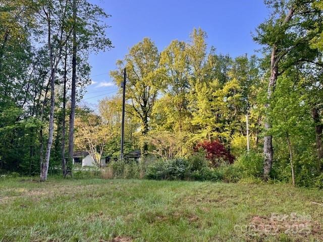 103 Higgins Ct, Morganton, NC 28655 - view of yard