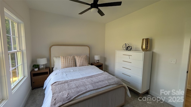 6386 Cathedral Dr, Granite Falls, NC 28601 - carpeted bedroom with multiple windows, baseboards, and a ceiling fan
