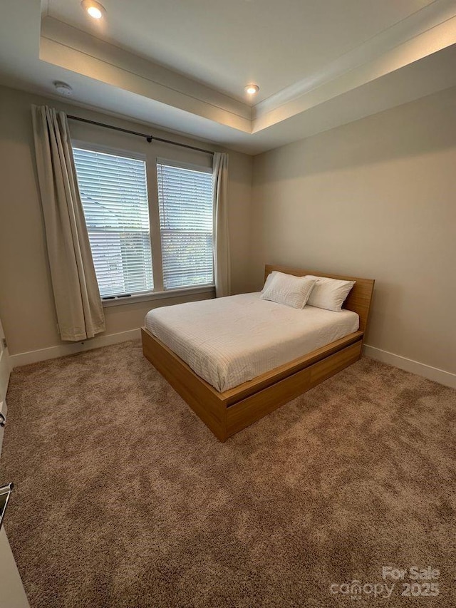 3007 Citizens Ln, Charlotte, NC 28205 - carpeted bedroom with a tray ceiling, baseboards, and recessed lighting