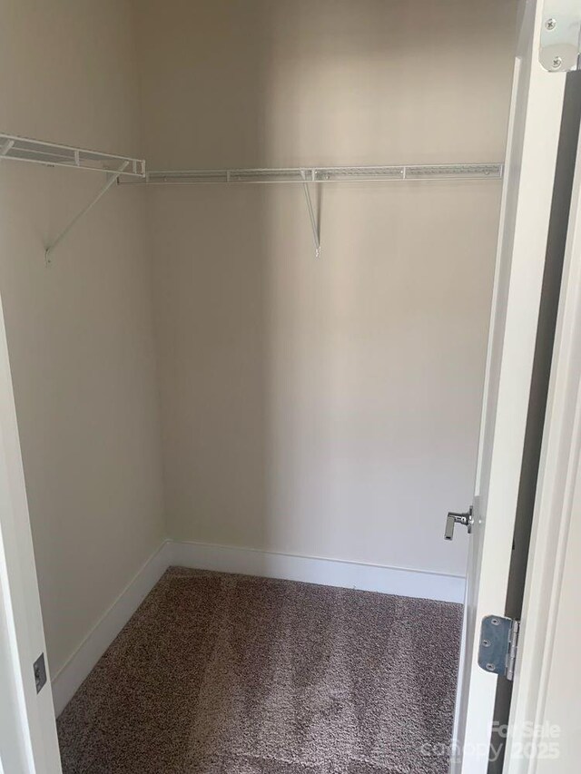3007 Citizens Ln, Charlotte, NC 28205 - walk in closet featuring carpet