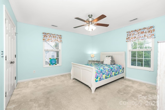 7255 Orchard Path Dr, Clemmons, NC 27012 - bedroom with multiple windows, light carpet, and baseboards