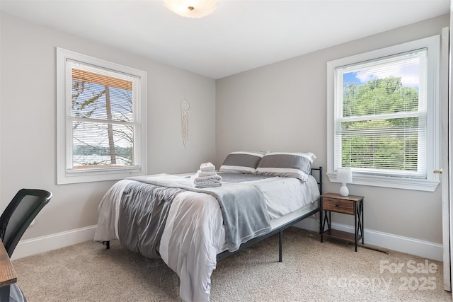 6294 Southlake Dr, Hickory, NC 28601 - bedroom featuring multiple windows, baseboards, and carpet flooring