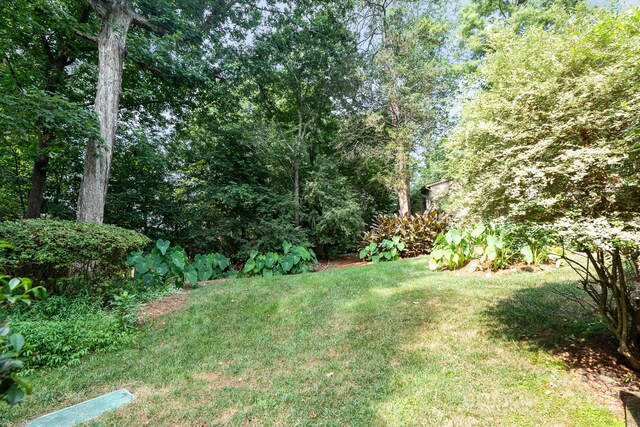 4025 Ivystone Ct, Charlotte, NC 28277 - photo 24