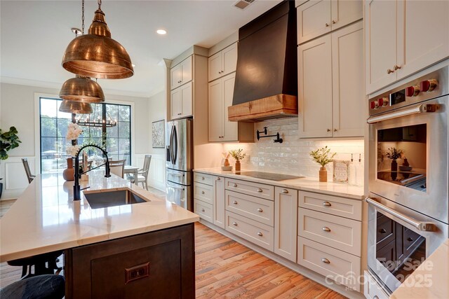 445 Sundown Rd, Mooresville, NC 28117 - kitchen featuring a sink, premium range hood, stainless steel appliances, tasteful backsplash, and light wood-style floors