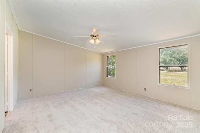 3585 Woodstream Dr, Maiden, NC 28650 - unfurnished room featuring crown molding, ceiling fan, carpet, a decorative wall, and a textured ceiling