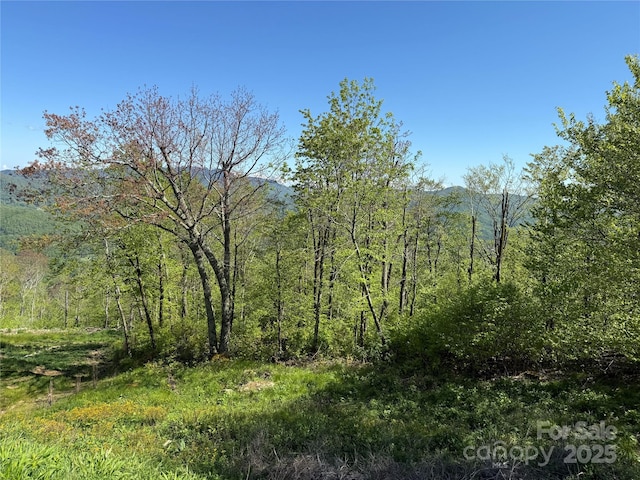 70 Sunset Strip Ests Unit 70, Beech Mountain, NC 28604