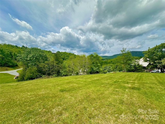 203 Thunderhill Trl Unit 203, Blowing Rock, NC 28605 - photo 3