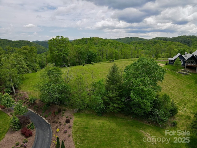 203 Thunderhill Trl Unit 203, Blowing Rock, NC 28605 - photo 4