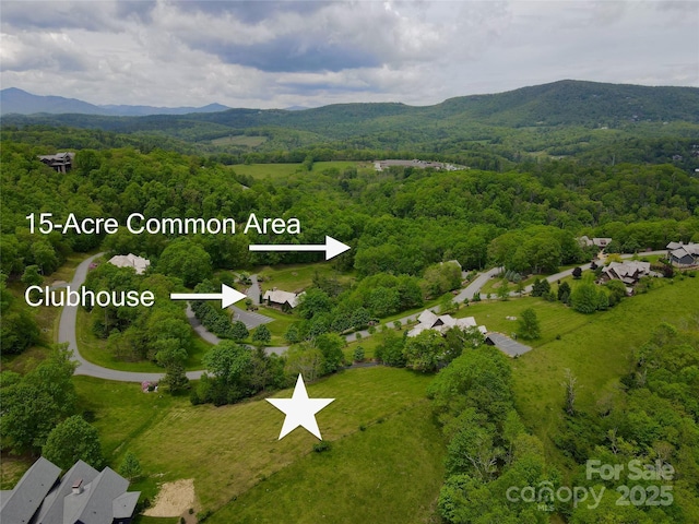 203 Thunderhill Trl Unit 203, Blowing Rock, NC 28605 - photo 6