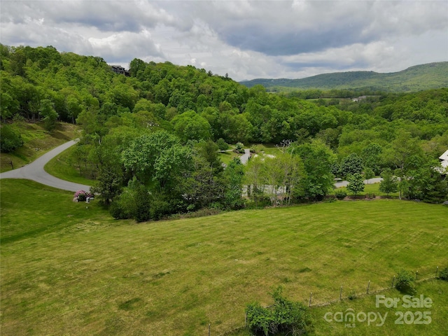 203 Thunderhill Trl Unit 203, Blowing Rock, NC 28605 - photo 14