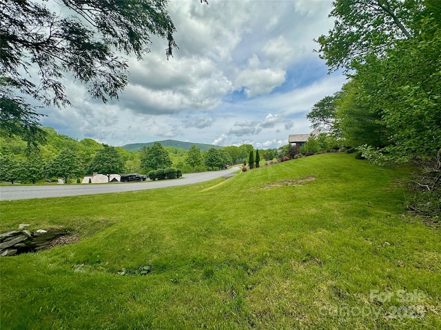 203 Thunderhill Trl Unit 203, Blowing Rock, NC 28605 - photo 18