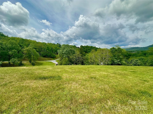 203 Thunderhill Trl Unit 203, Blowing Rock, NC 28605 - photo 20