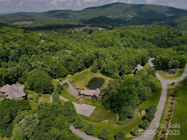 203 Thunderhill Trl Unit 203, Blowing Rock, NC 28605 - photo 21