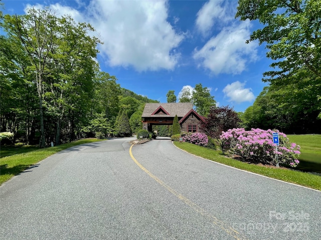 203 Thunderhill Trl Unit 203, Blowing Rock, NC 28605 - photo 32