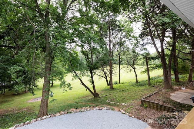 8340 Brief Rd, Mint Hill, NC 28227 - view of grassy yard