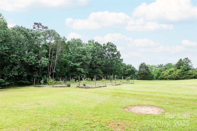 8340 Brief Rd, Mint Hill, NC 28227 - view of grassy yard