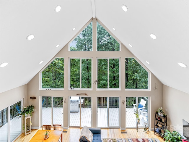 350 Mckissick Rd, Flat Rock, NC 28731 - living area with high vaulted ceiling, light wood-style flooring, and recessed lighting