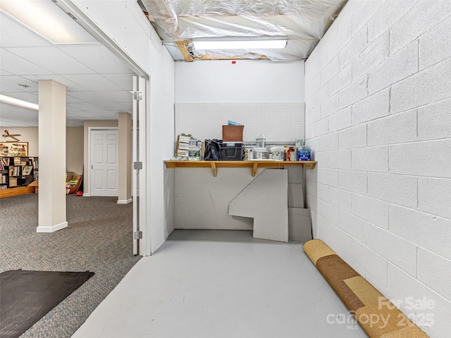 350 Mckissick Rd, Flat Rock, NC 28731 - view of finished basement