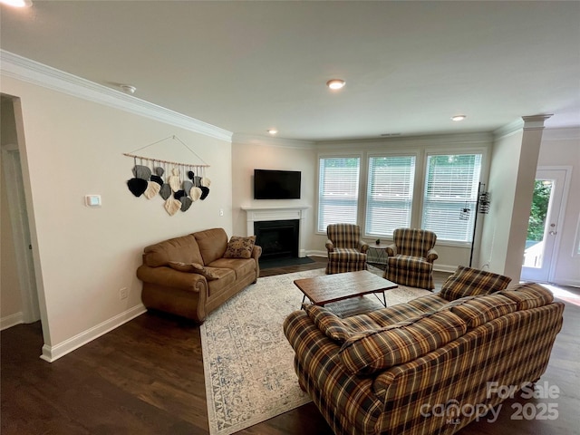 5005 Blue Serenity Ct, Denver, NC 28037 - living area featuring crown molding, plenty of natural light, dark wood finished floors, a fireplace with flush hearth, and baseboards