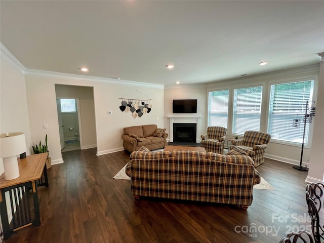 5005 Blue Serenity Ct, Denver, NC 28037 - living room with plenty of natural light, a fireplace with flush hearth, dark wood-style flooring, baseboards, and ornamental molding