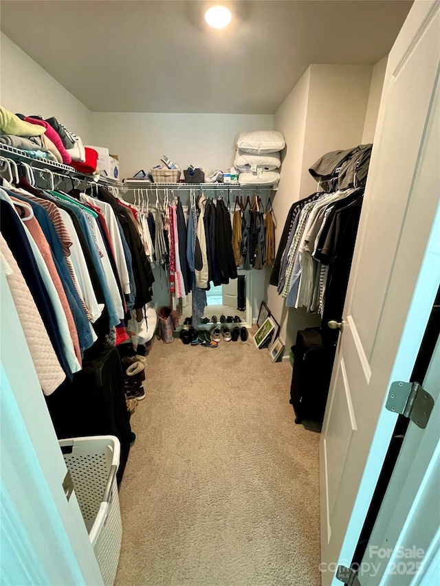 5005 Blue Serenity Ct, Denver, NC 28037 - walk in closet with carpet