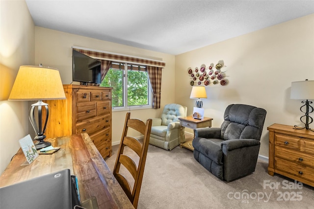 903 Independence Trl, Morganton, NC 28655 - office with carpet floors